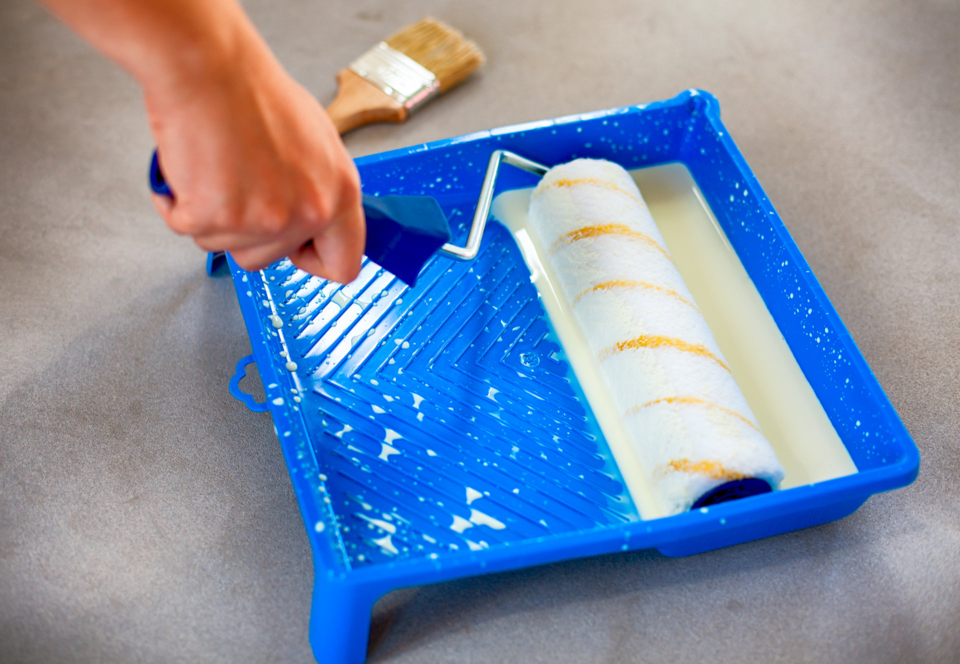 Woman hand with paint roller and paint tray with primer.