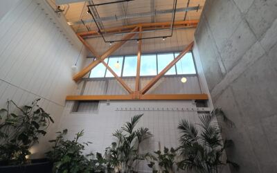 How to Refresh and Redecorate a Commercial Space on a Budget